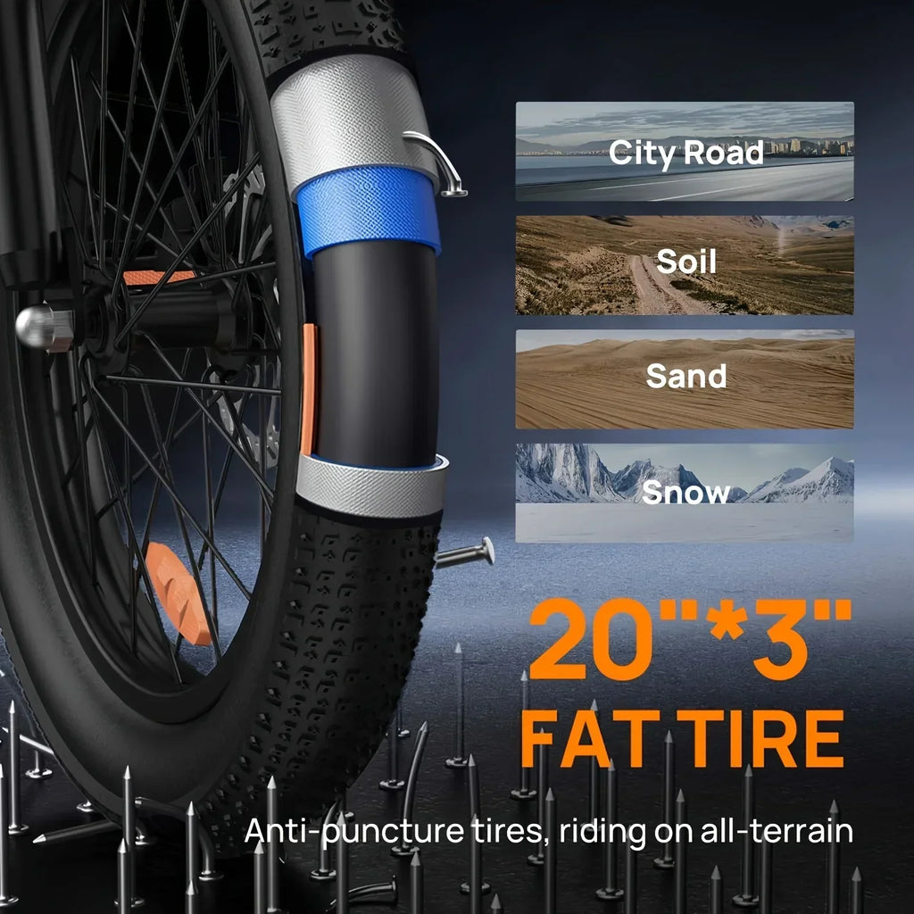 E20 adult 20' E-bike 25kmh 250W 48V 13Ah battery commute Electric Bike, Fat Tire city Ebike 7 Speed
